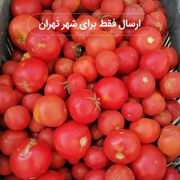 گوجه فرنگی ربی 1 کیلوگرم